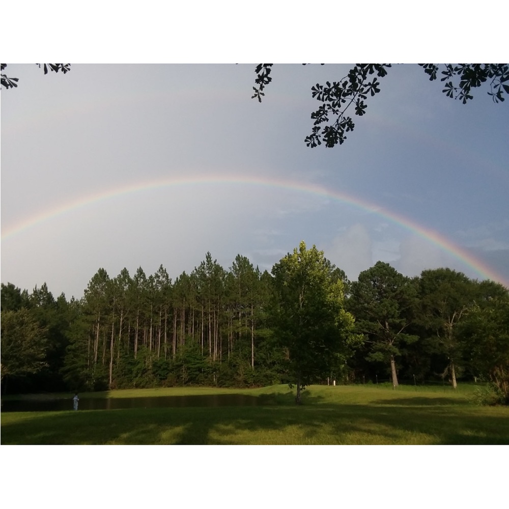 God’s Promise